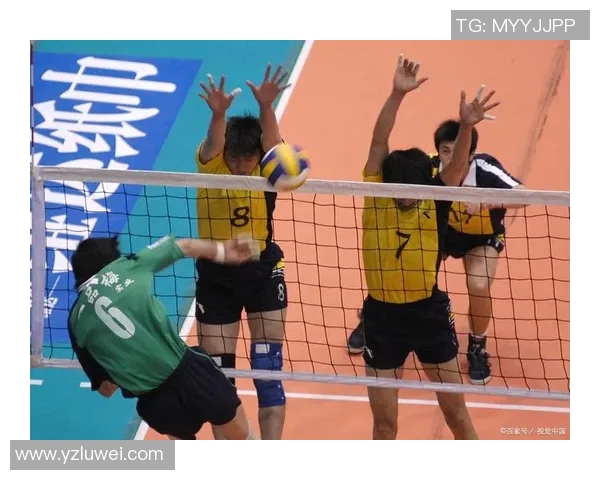 杭州排球队团队协作的独特优势与其他球队的深度对比分析